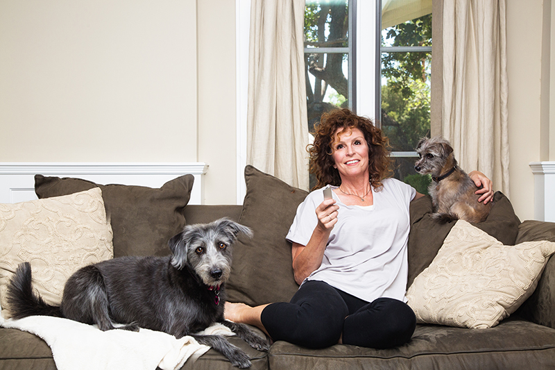 Dogs with owner on sofa