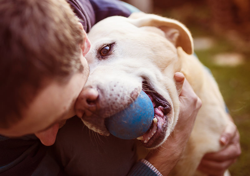 Playing with dog